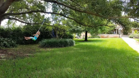 back yard and swings