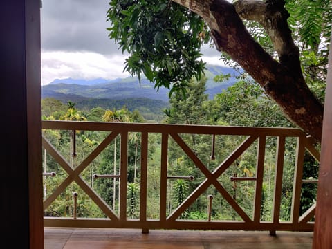 Deluxe Room | Balcony