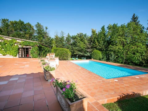 Plant, Sky, Water, Swimming Pool, Azure, Flowerpot, Shade, Building, Tree, Flower