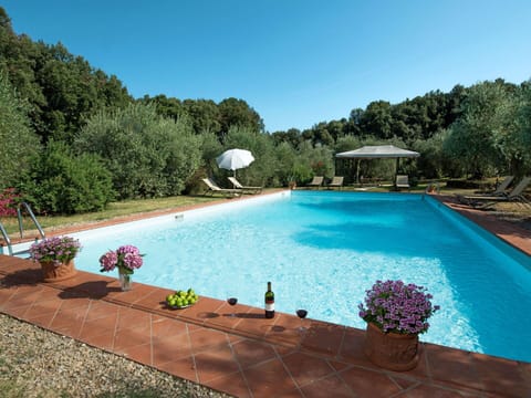 Water, Plant, Flower, Sky, Property, Swimming Pool, Building, Botany, Nature, Azure