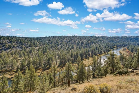 View from the deck