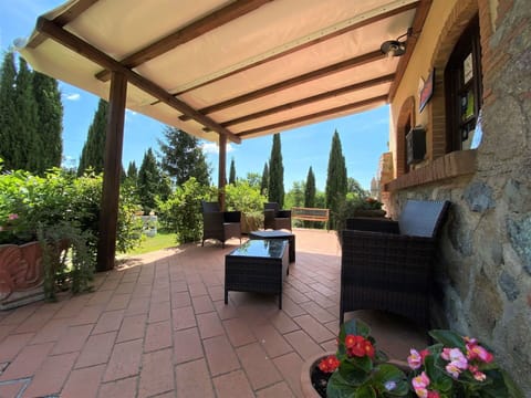 Plant, Property, Flowerpot, Building, Houseplant, Tree, Shade, Flower, Landscape, Leisure