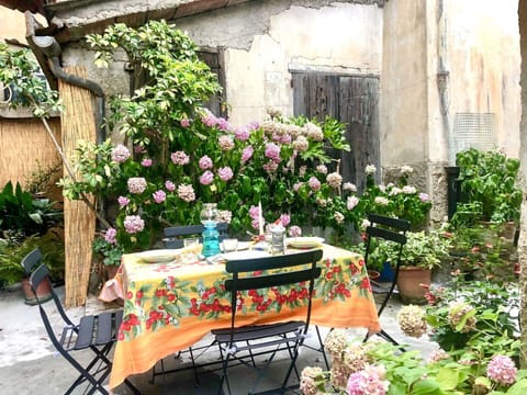 Flower, Plant, Furniture, Table, Botany, Flowerpot, Outdoor Table, Outdoor Furniture, Building, Petal