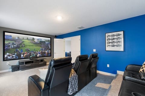 Theater Room: you can stream Netflix, Disney, watch live tv, and Blue Ray movies