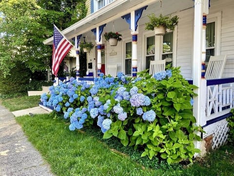 Bright hydrangea flowers light up the front yard. 