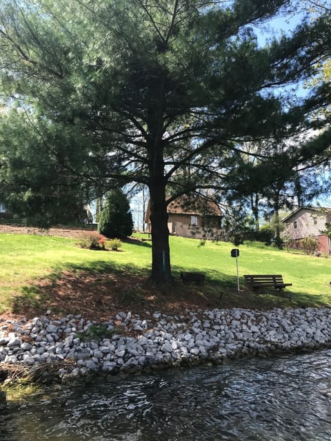 Lake-side bench with a view & yard for games