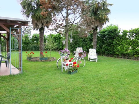 Lawn, Yard, Property, Backyard, Garden, Grass, House, Tree, Real Estate, Grass Family