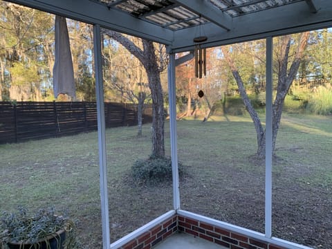 Part of the back yard and fencing