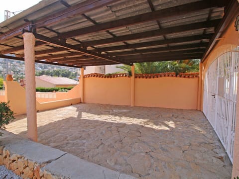 Plant, Shade, Wood, Brickwork, Floor, Road Surface, Tree, Beam, Brick, Wall