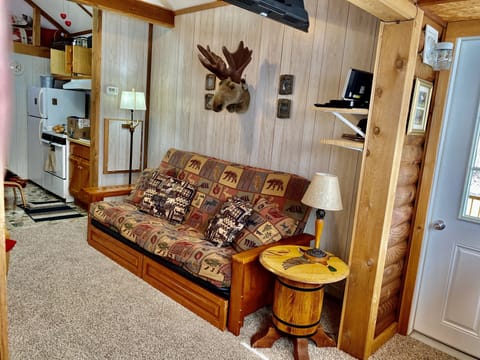 Queen futon in living room