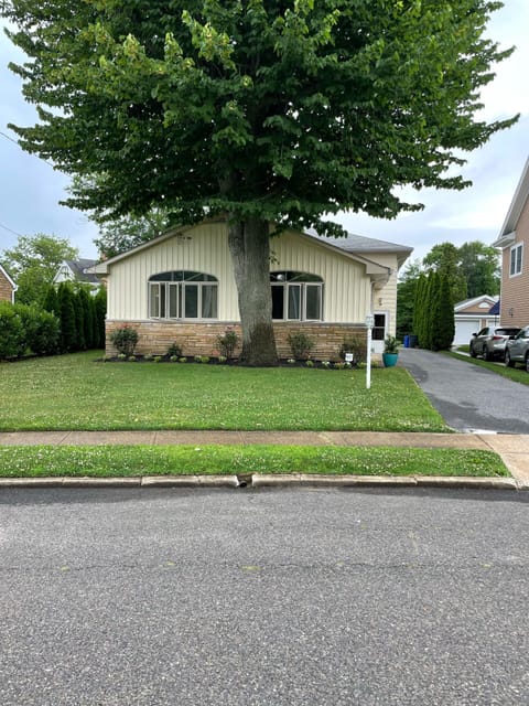 Front yard