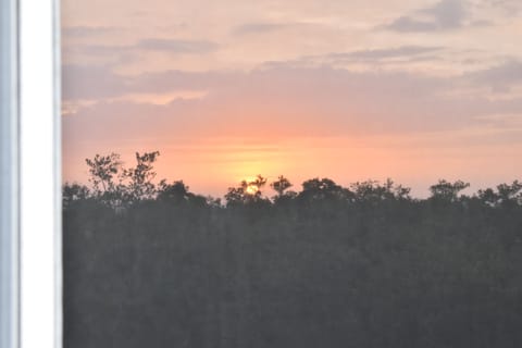 Sunset view from the balony
