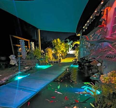 floating step koi pond is how you walk up to the front door