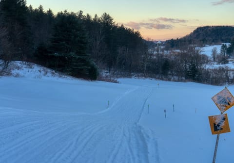 Snow and ski sports