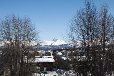 Mountain View’s 