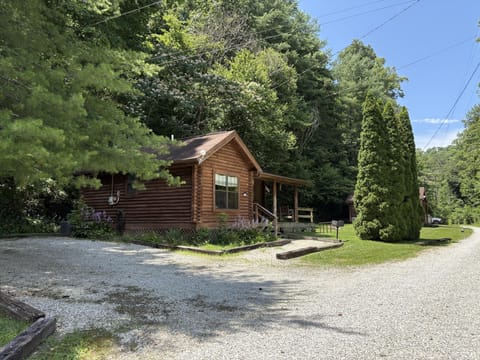 Gravel driveway curves past a cedar log cabin with a covered porch and tall evergreen shrubs.