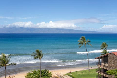 Oceanfront property located on a sandy beach with gentle waves and palm trees framing the shore. Mountains rise across the water under a clear, tropical sky.