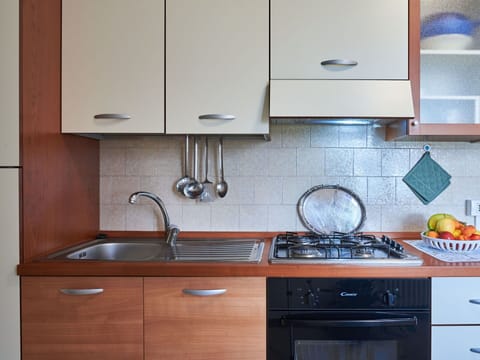 Plant, Building, Window, Flower, Tree, Cloud, Wood, Land Lot, House, Slope