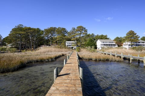 Island Haven