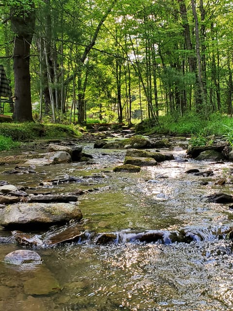 right out the backdoor