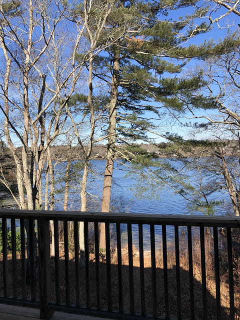 View from back deck
