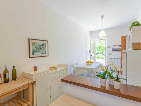 Plant, Property, Furniture, Building, Flower, Window, Houseplant, Flowerpot, Lighting, Interior Design