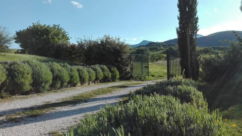 Villa, 2 Bedrooms, Smoking, Private Pool | View from property