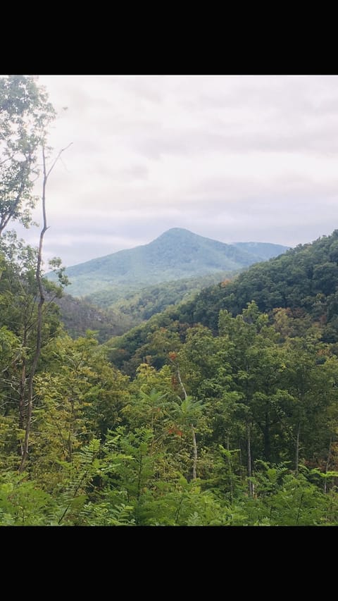 Mountain views from the cabin.