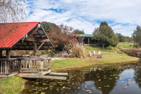 Covered wooden dock with a red metal roof extends over a lily-pad dotted pond near a grassy firepit area.