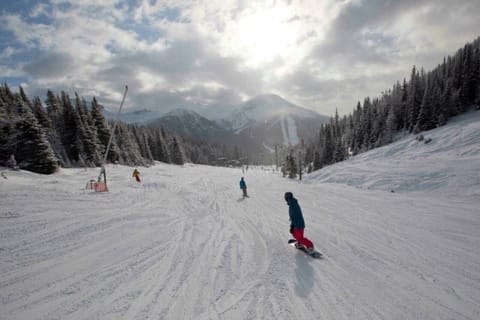 Snow and ski sports
