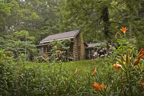 Secluded cabin retreat surrounded by lush wildflowers and a peaceful wooded setting.