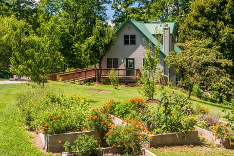 Raised wooden garden beds with blooming orange and purple flowers sit in the sunlit yard beside a cream cottage with green roof.