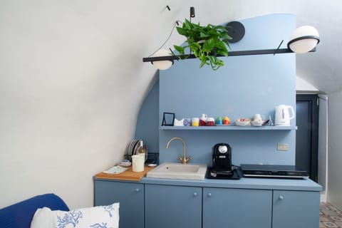 Apartment, 1 Bedroom | Private kitchenette | Full-size fridge, stovetop, coffee/tea maker, cookware/dishes/utensils