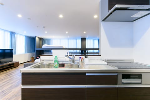 Basic Apartment (UE) | Private kitchenette | Fridge, microwave, stovetop, electric kettle