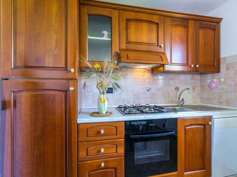 Kitchen, Major Appliance, Kitchen Appliance, Wood, Cabinetry, Countertop, Kitchen Stove, Interior Design, Stove, Flooring