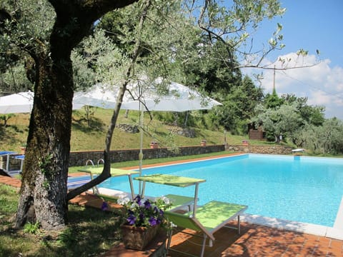 Water, Plant, Sky, Swimming Pool, Nature, Botany, Tree, Outdoor Furniture, Shade, Cloud