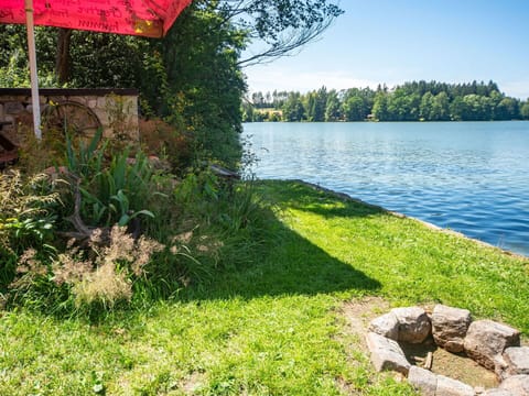 Water, Plant, Sky, Property, Green, Natural Landscape, Azure, Natural Environment, Botany, Tree