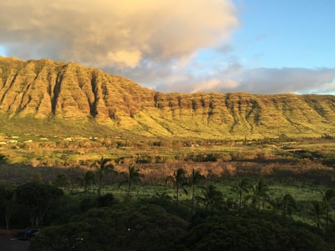 First three photos are our view!