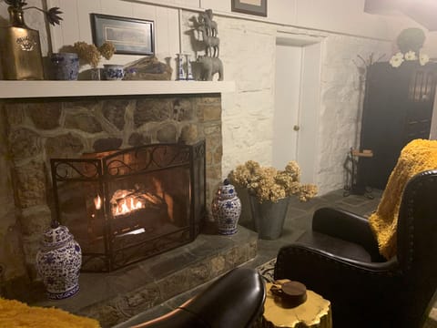 Four Seasons Room - gas logs