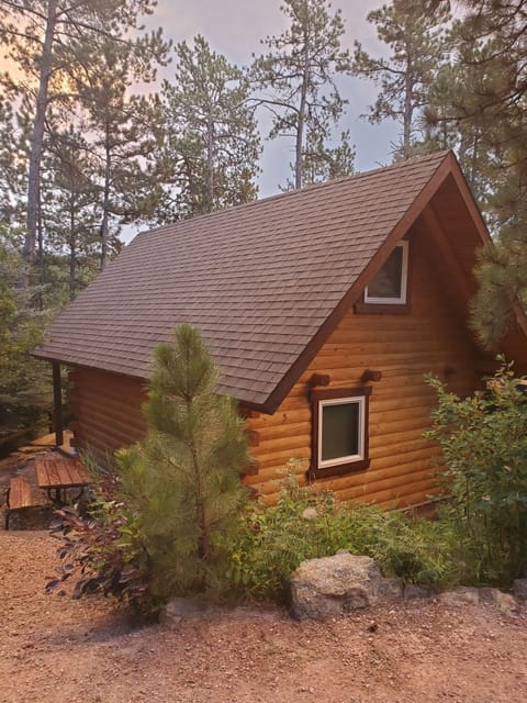 Mountain Shadows Exterior-Back