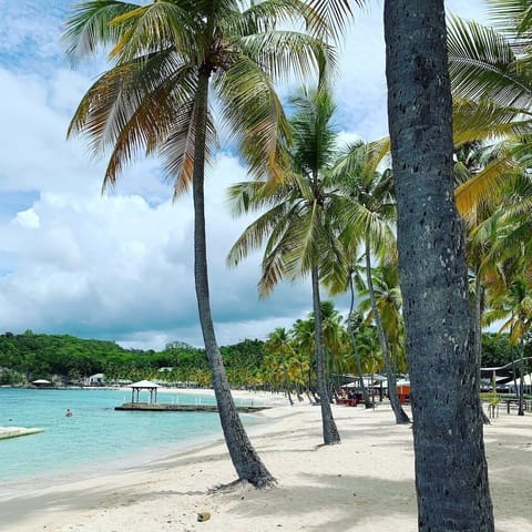 Beach towels, beach massages, windsurfing