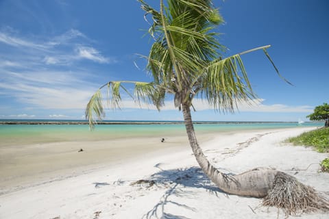 On the beach, white sand