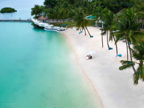 Private beach, beach umbrellas, beach towels, scuba diving