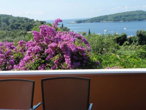 Apartment (One Bedroom Apartment with Terrace) | Terrace/patio