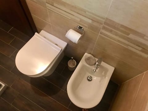 Shower, rainfall showerhead, hair dryer, bidet