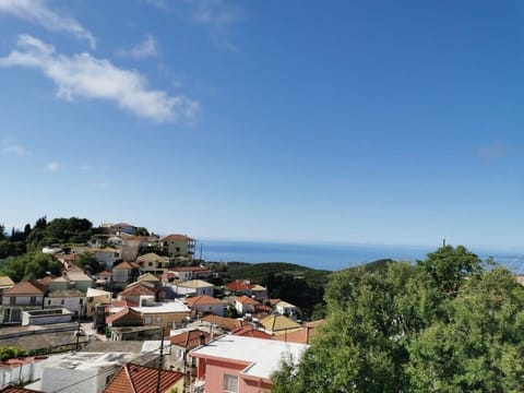 House View