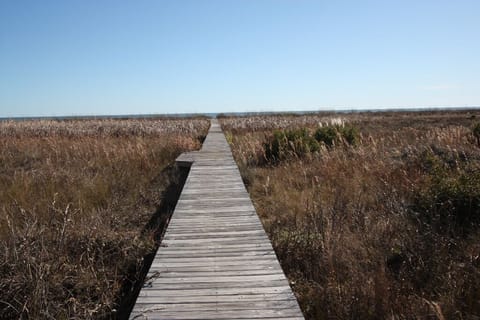Your private boardwalk