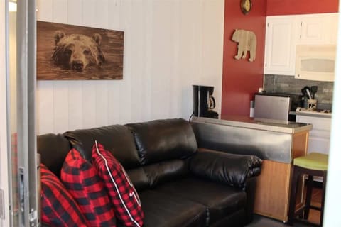 Cozy Cabins Real Estate LLC - Bear Canyon Condo 129