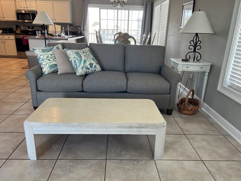 New living room couches for 2025!