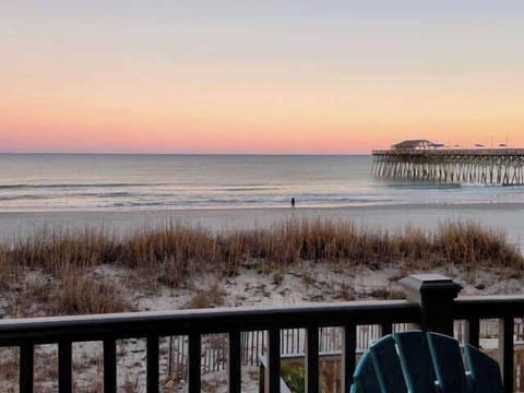 Welcome to Sand Dollar 101!